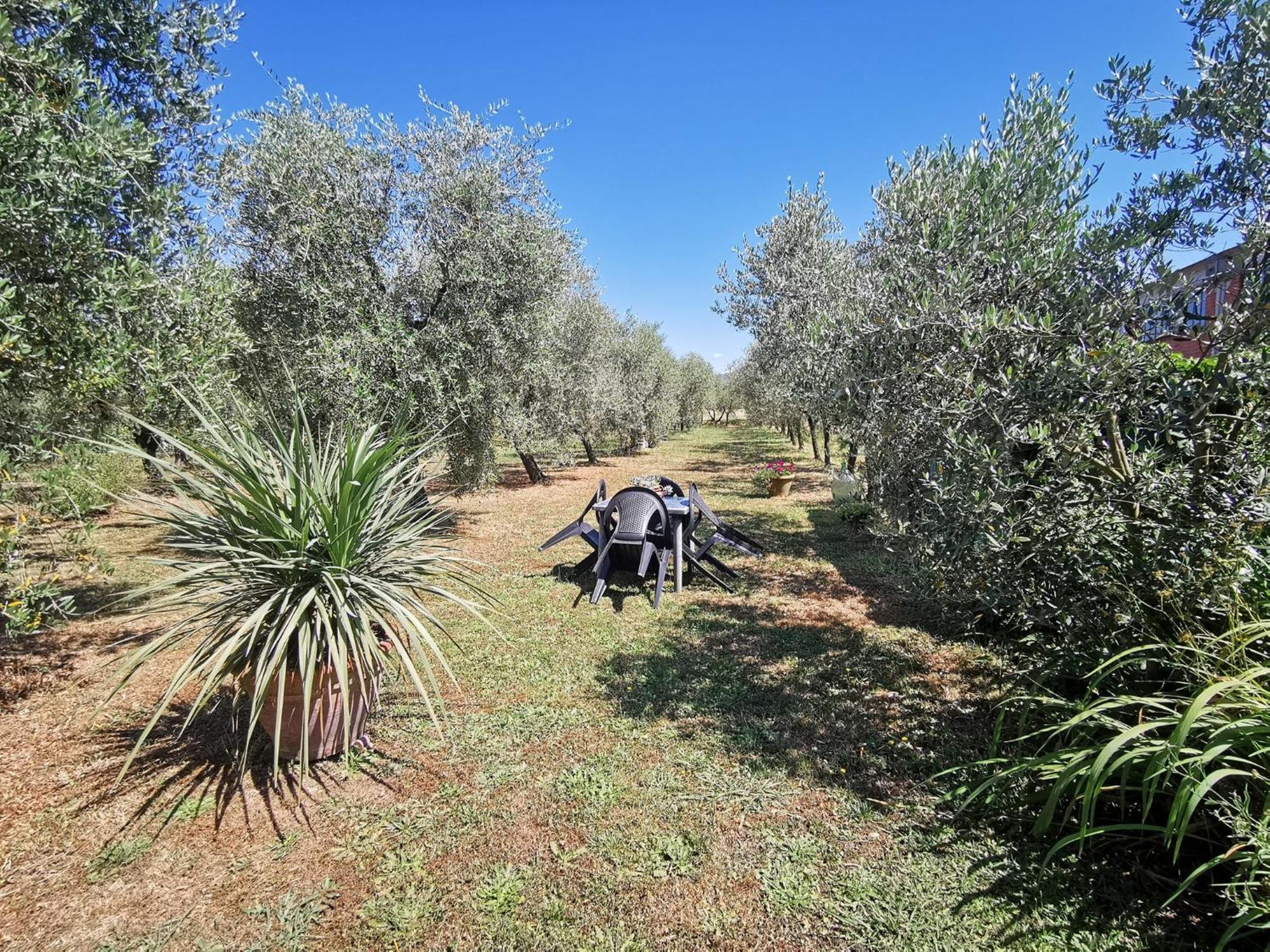 La Casa Dei Nonni Villa Larciano Luaran gambar