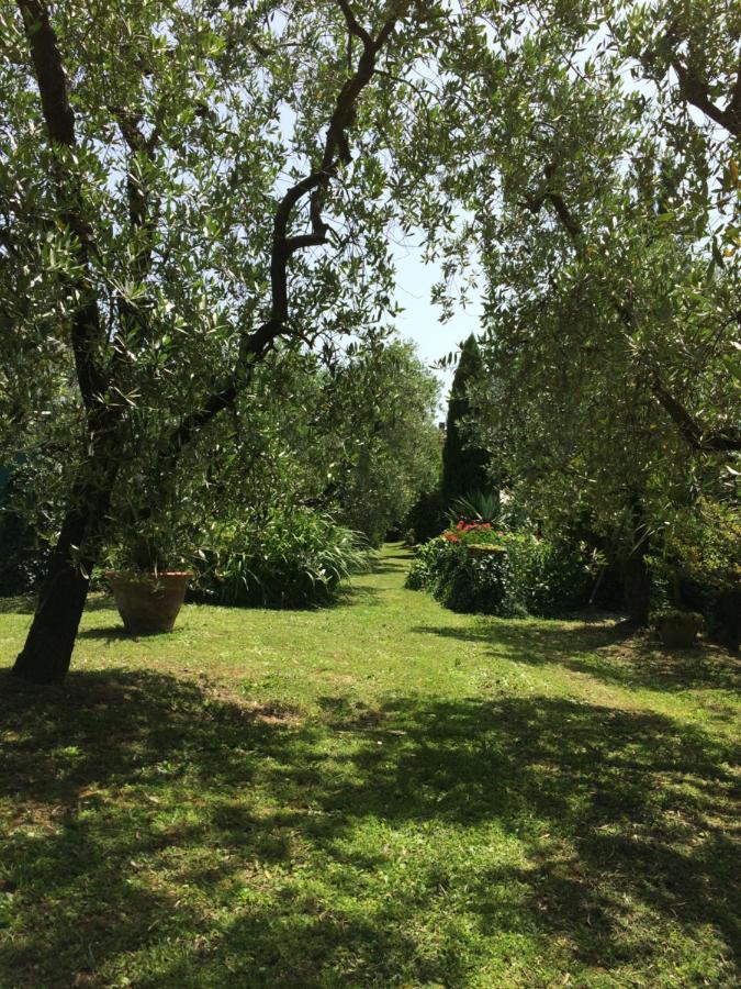La Casa Dei Nonni Villa Larciano Luaran gambar